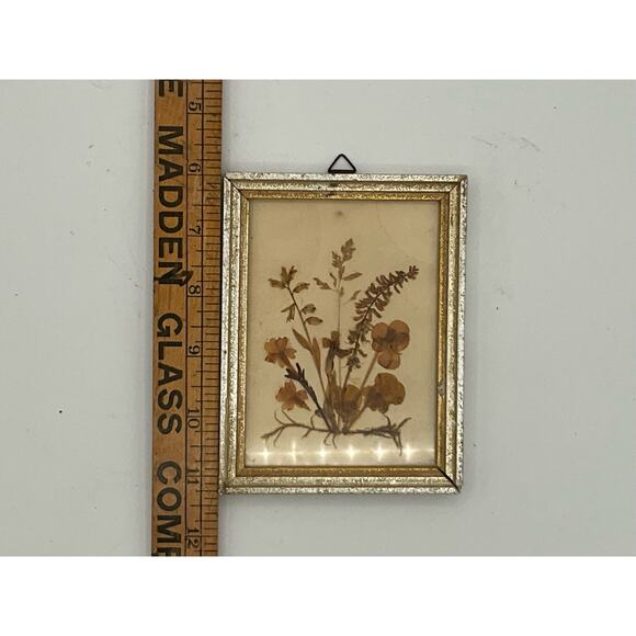 Vintage Framed Pressed Flowers made in Germany - Picture 3 of 4